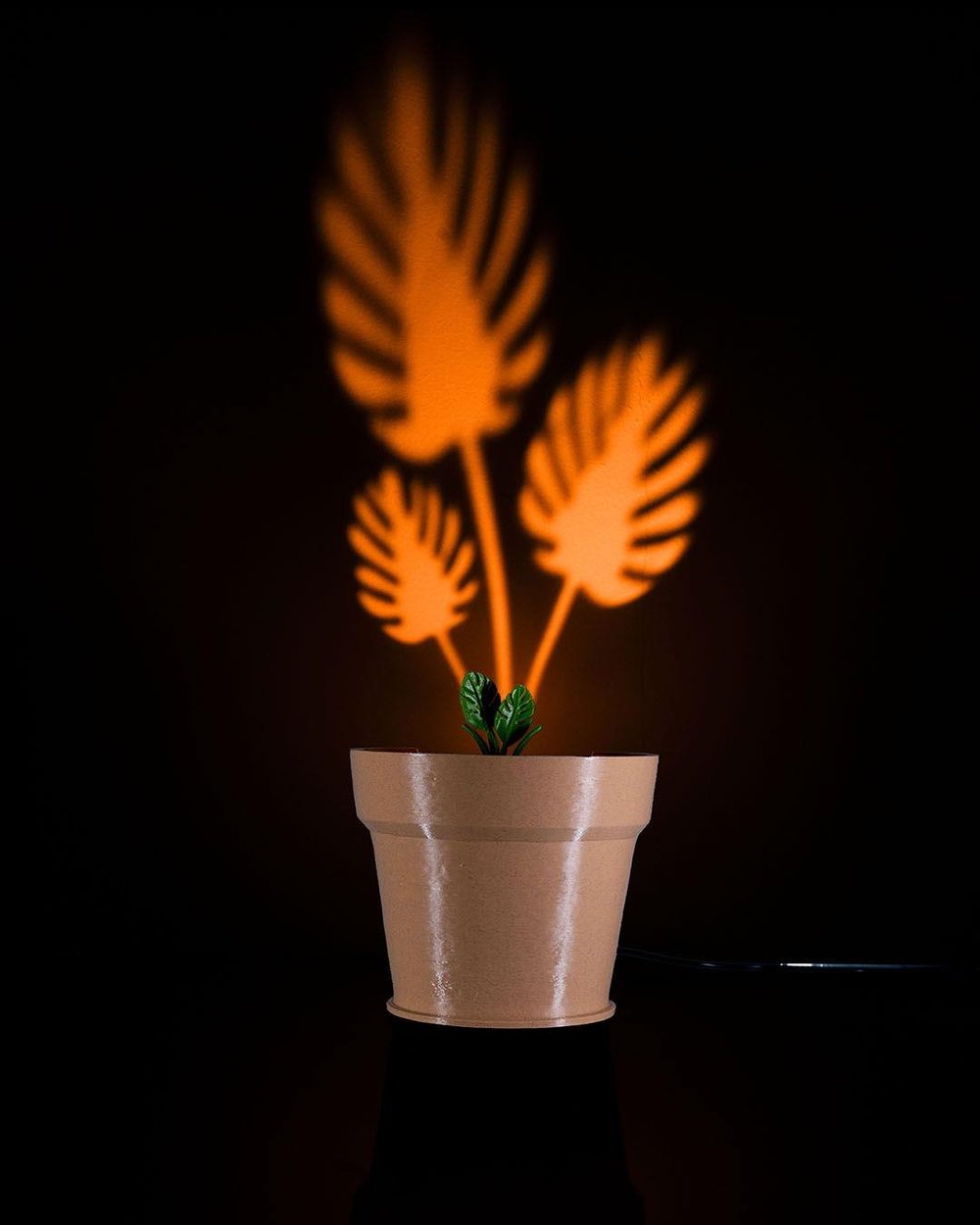 monstera-vazolu-duvar-lambasi-675eb1.jpg