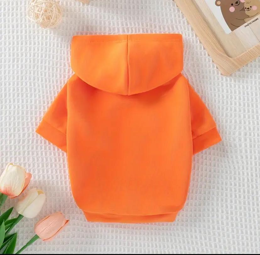 AP2319 Turuncu Sweat