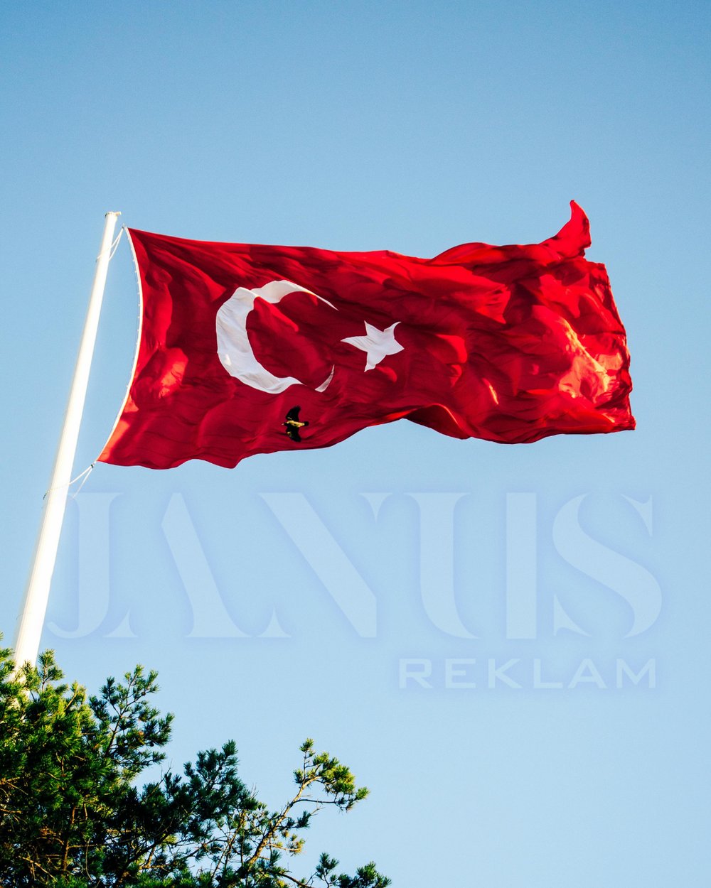 Türk Gönder Bayrakları