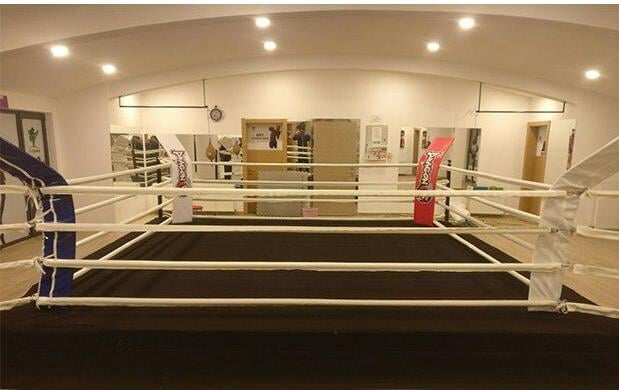 DragonDo Boks Ringi Antrenman 500 m x 40 cm