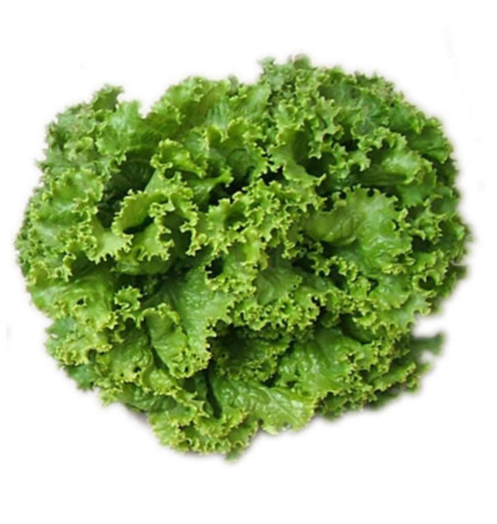 SALATA KIVIRCIK ADET