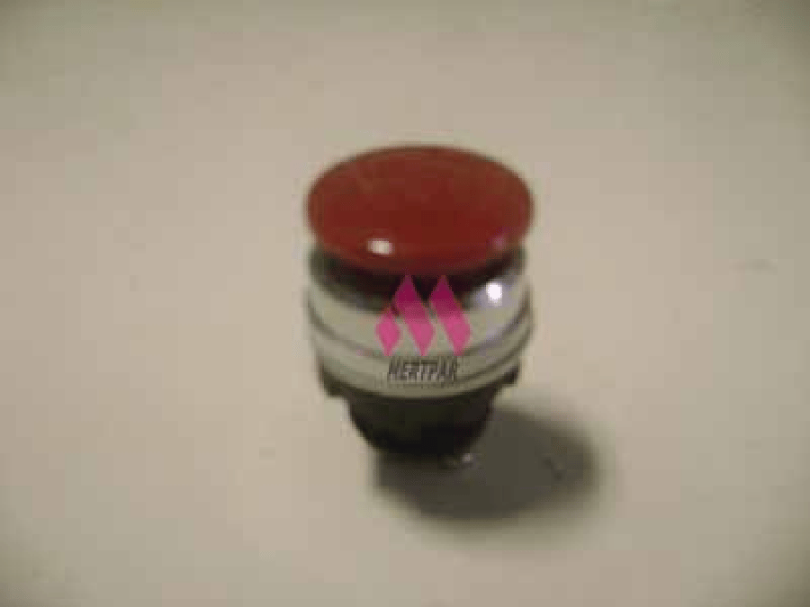 KORNA BUTONU KLEMENSLI>FIAT 48064054C 5086829