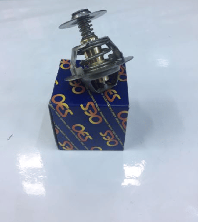 TERMOSTAT 60°C BYLI KUPILYASIZ T12T15 93>99 FORD 89FF8575AB