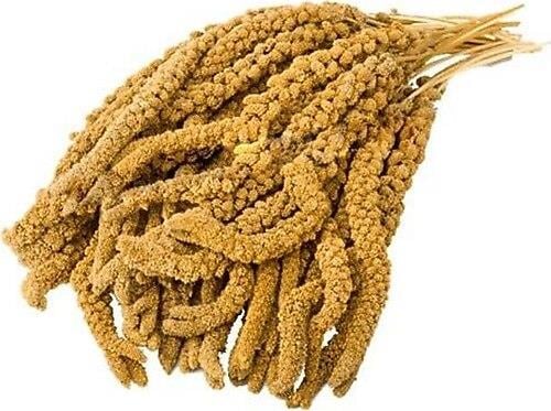 Organik Üretim Sarı Dal Darı 500 Gr.