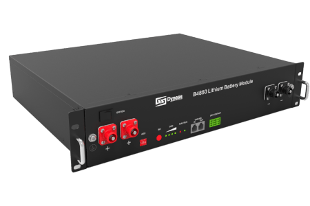 Dyness B4850 48V 50Ah Lityum Batarya (LiFePO4 Rack Tip, Modüler Enerji Depolama)