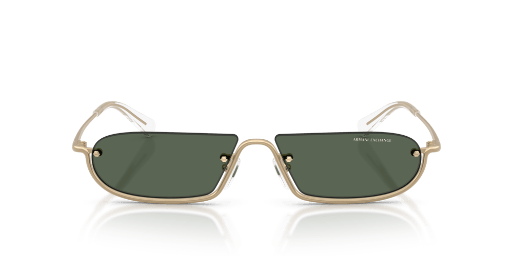 ARMANI EXCHANGE AX2058S C.6121/71 58-14 Güneş Gözlüğü