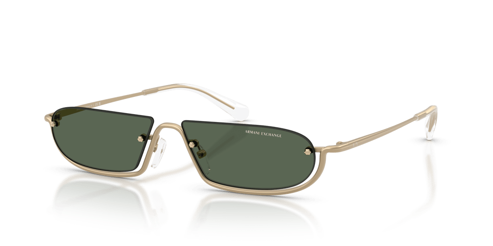 ARMANI EXCHANGE AX2058S C.6121/71 58-14 Güneş Gözlüğü