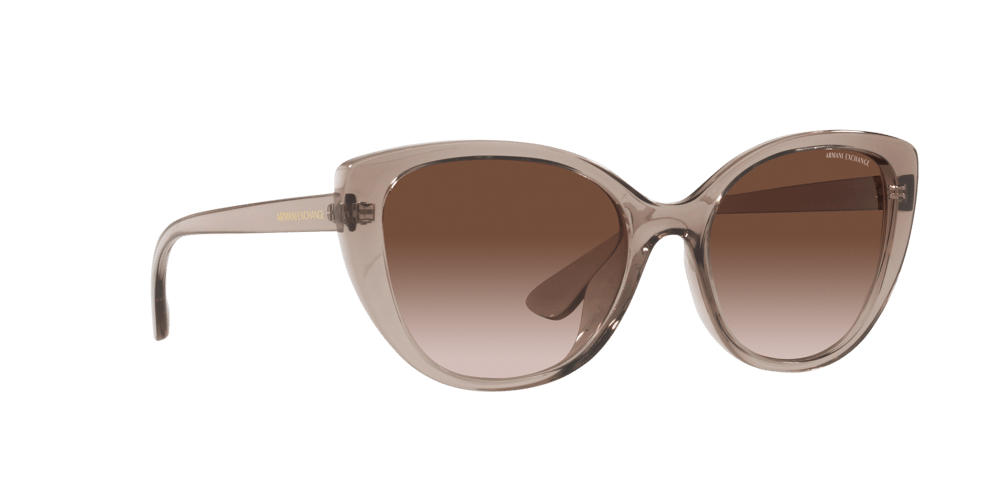 ARMANI EXCHANGE AX4111SU C.824013 54-18 Güneş Gözlüğü