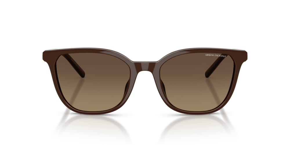 ARMANI EXCHANGE AX4168SU C.8402T5 54-19 Güneş Gözlüğü