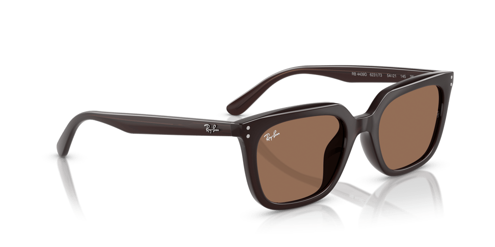 RAYBAN RB 4439D C.6231/73 54-21 Güneş Gözlüğü