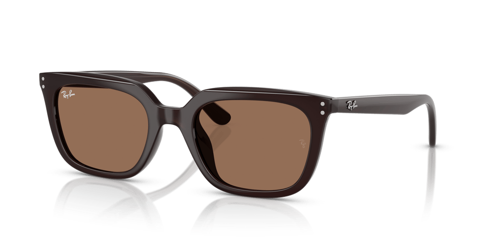 RAYBAN RB 4439D C.6231/73 54-21 Güneş Gözlüğü
