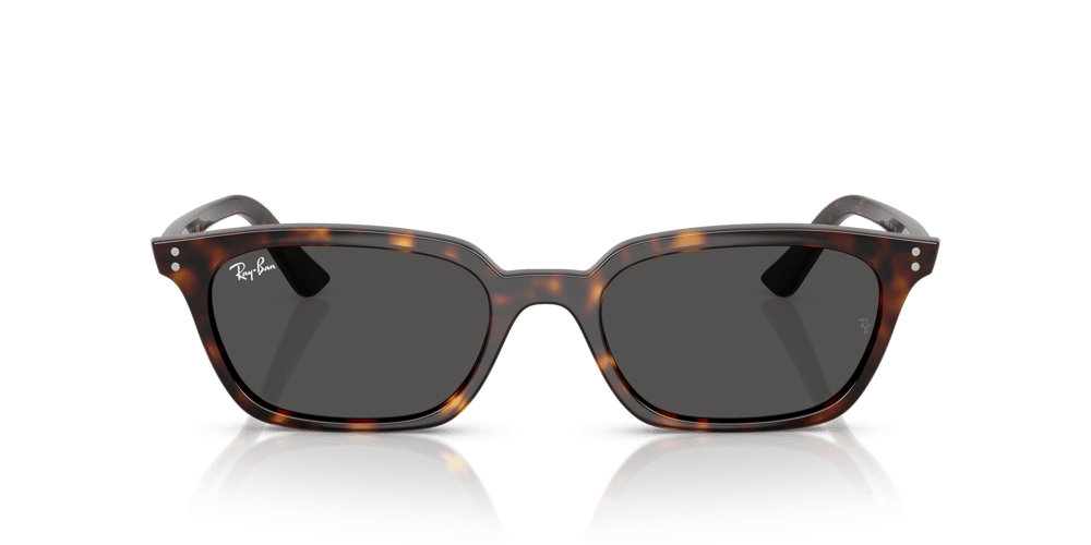RAYBAN RB4456 C.1359/87 50-19 Güneş Gözlüğü