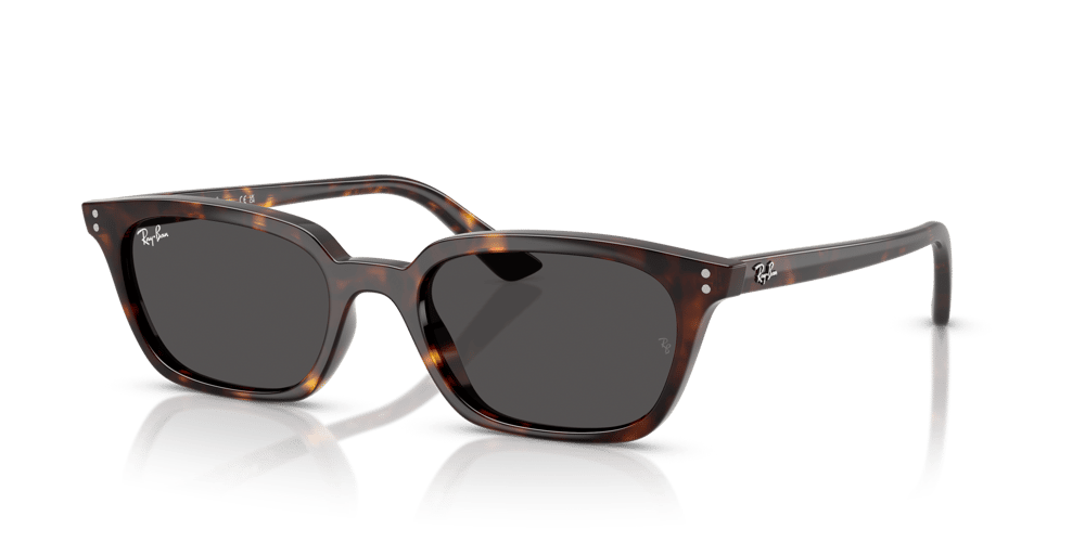 RAYBAN RB4456 C.1359/87 50-19 Güneş Gözlüğü
