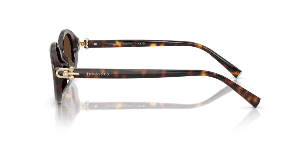 TIFFANY&CO. TF4242-D C.8015/3G 54-19 Güneş Gözlüğü