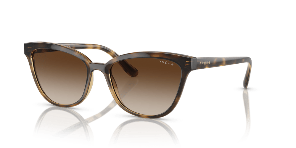 VOGUE VO5496-SI C.W65613 54-17 Güneş Gözlüğü