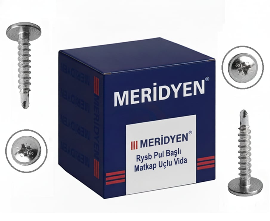 MERİDYEN Rysb Pul Başlı Matkap Uçlu Vida 3.9x19 mm 1000li Paket - Profesyonel Çinko Kaplı Akıllı Sac Vidası, Yüksek Sıkma Mukavemetli Şantiye Tipi İnce Hat Rysb Vida