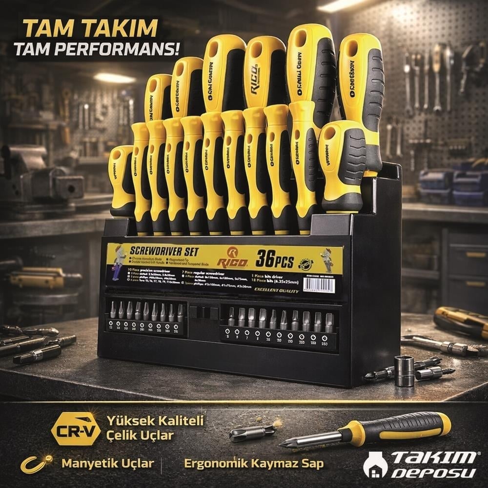 RICO 003-RK0025 Düz Yıldız ve Torx Uçlu Tornavida Takımı Klasik Seri 36 Parça