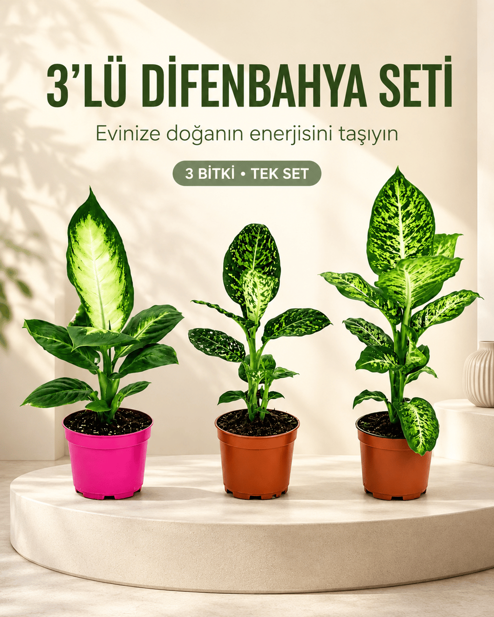 Camilla - Reflector - Mars 3'lü Set - 12 cm Saksı