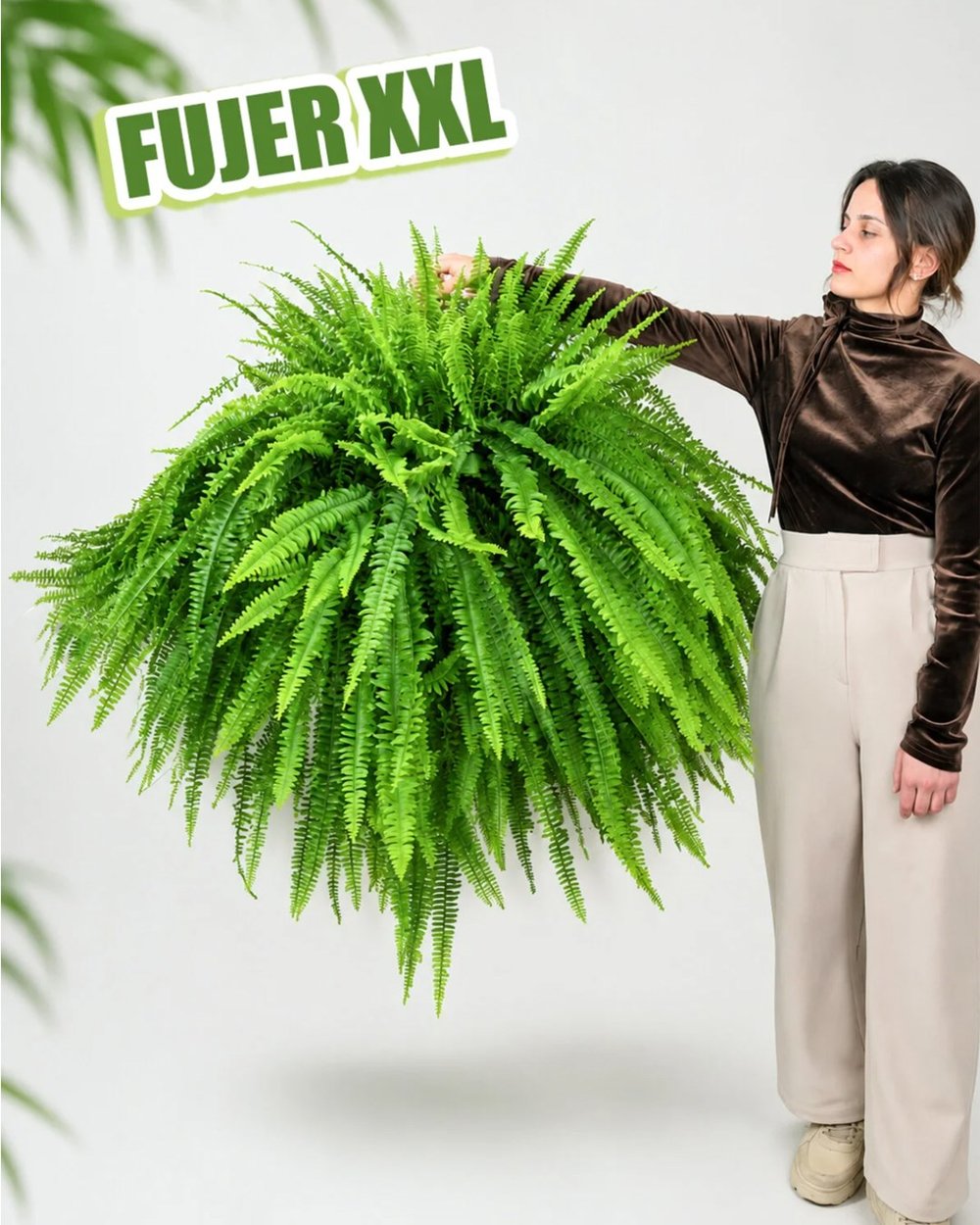 Fujer – Aşk Merdiveni – Nephrolepis exaltata – 21 cm Askılı Saksı