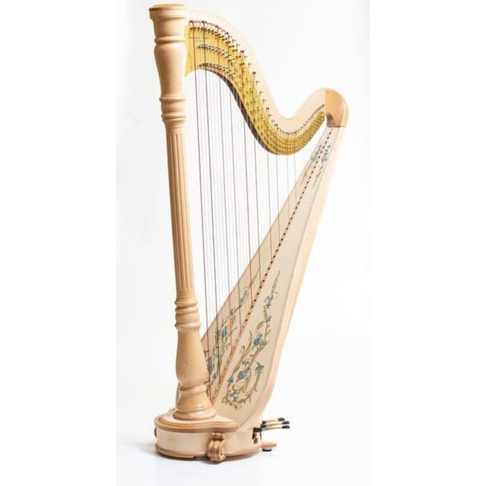Venera Arp