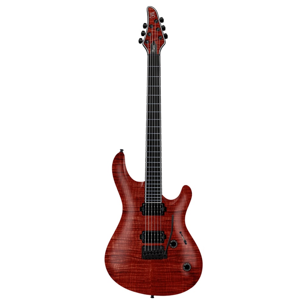 Mayones Regius® Regius Core Classic V24 6 2 - 6 String
