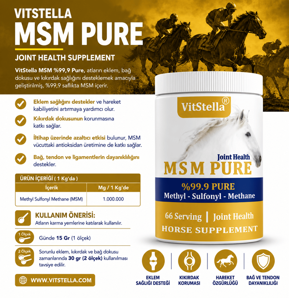 VitStella MSM %99.9 Pure 1 Kg