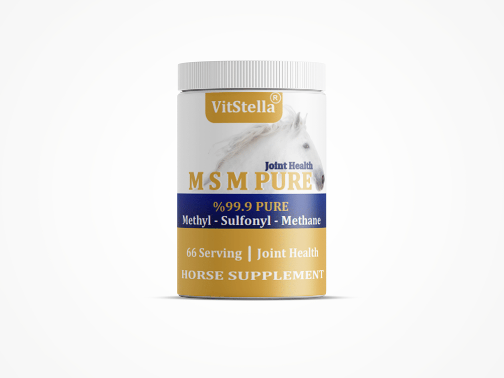 VitStella MSM %99.9 Pure 1 Kg