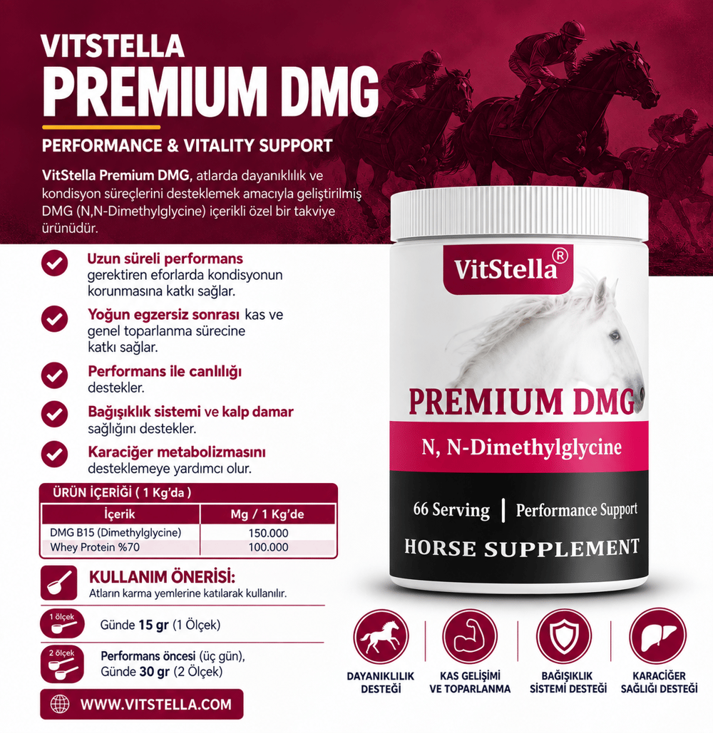 VitStella Premium Dmg 1 Kg