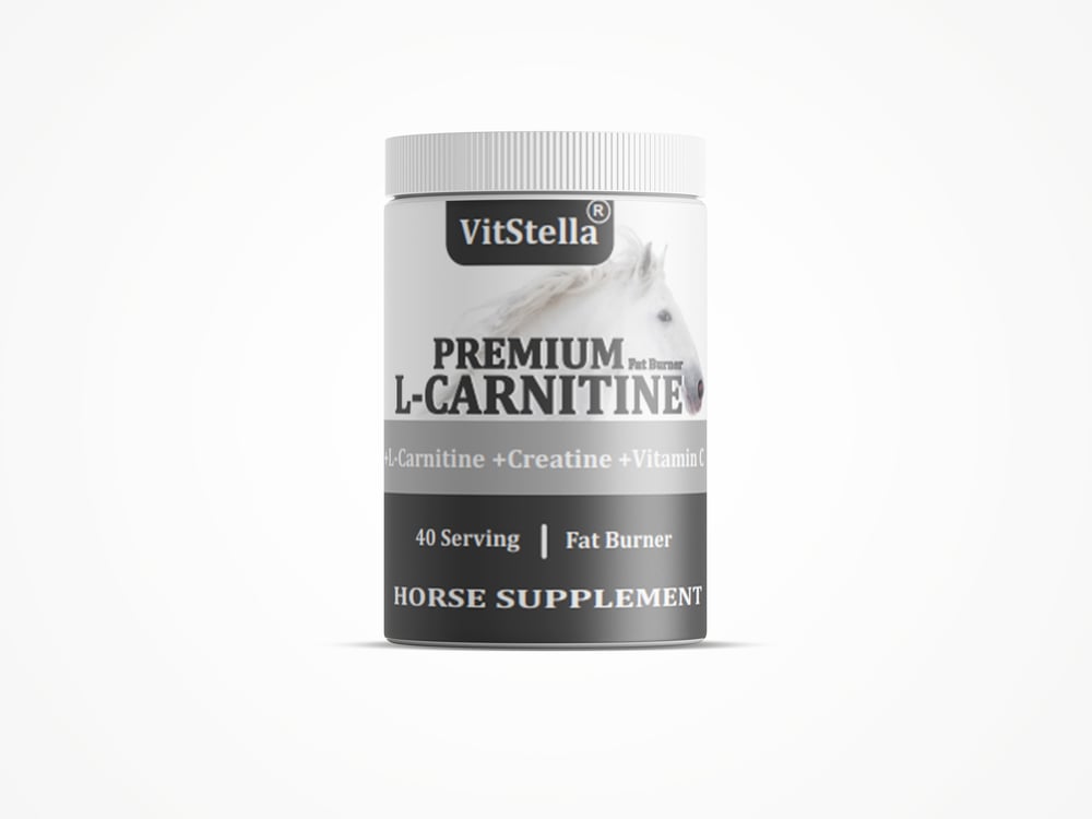 VitStella Premium L-Carnitine 1 Kg
