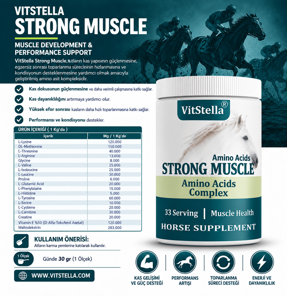 VitStella Strong Muscle 1 Kg