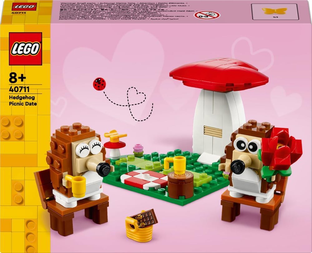 LEGO PİCNİC DATE