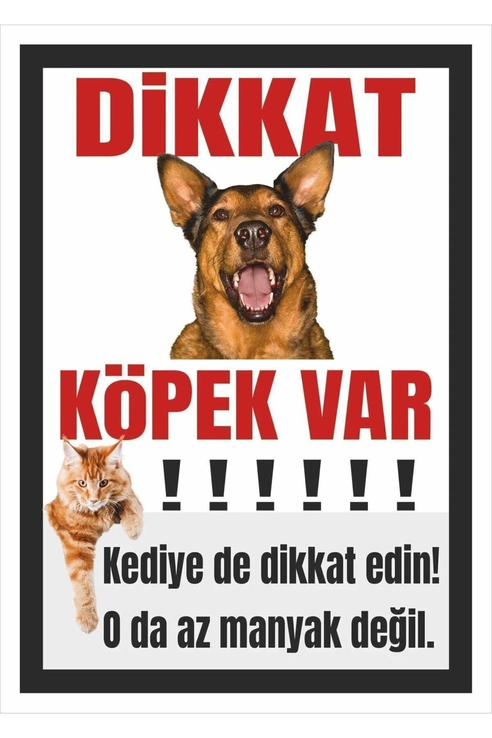 Dikkat Köpek Var Mizahi Uyarı Tabelası – “Kediye de Dikkat Edin!” Komik Levha