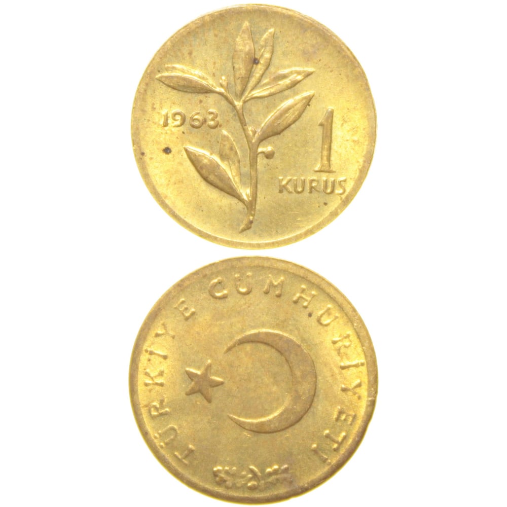 1 Kuruş - 1963  - ÇİL (TCM3)