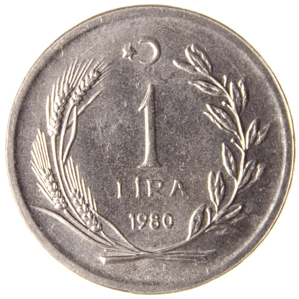1 Lira - 1980  - ÇİL (TCM13)