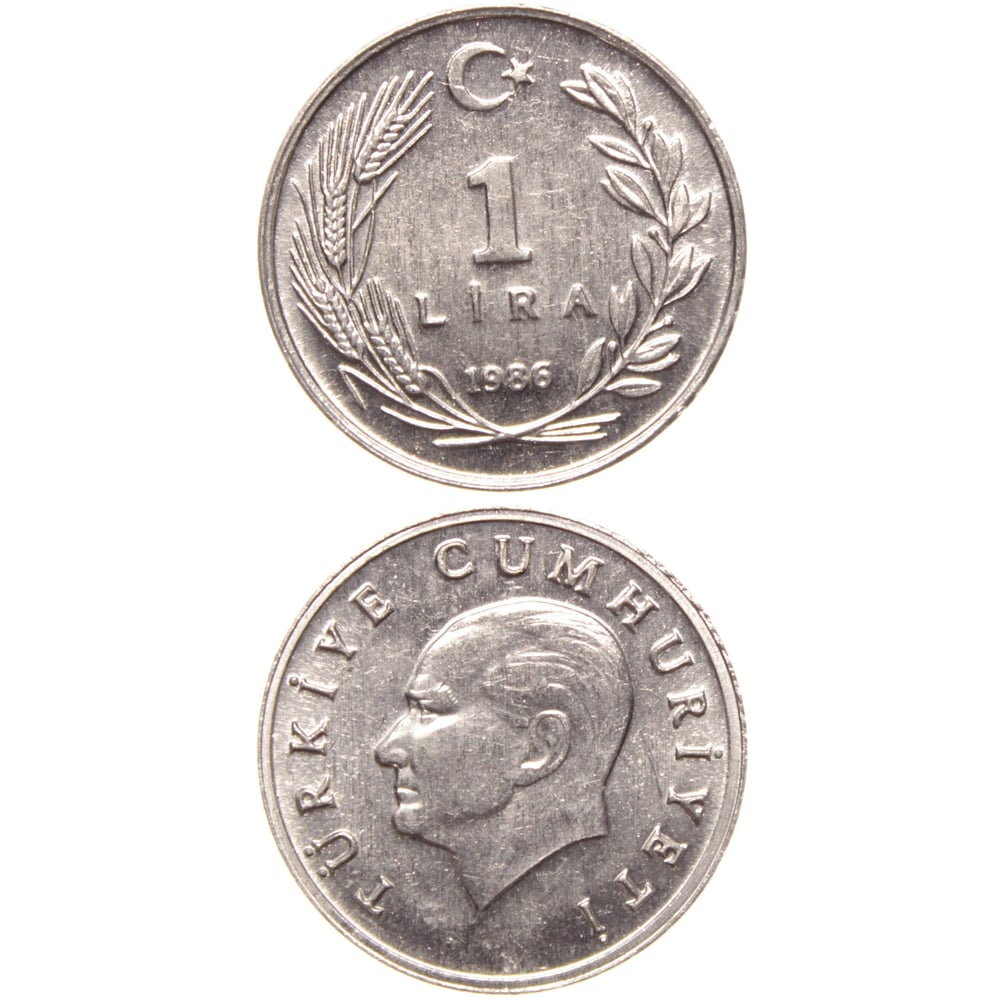 1 Lira - 1986  - ÇİL (TCM15)
