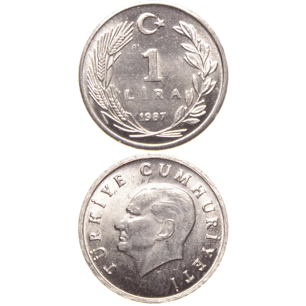 1 Lira - 1987  - ÇİL (TCM14)