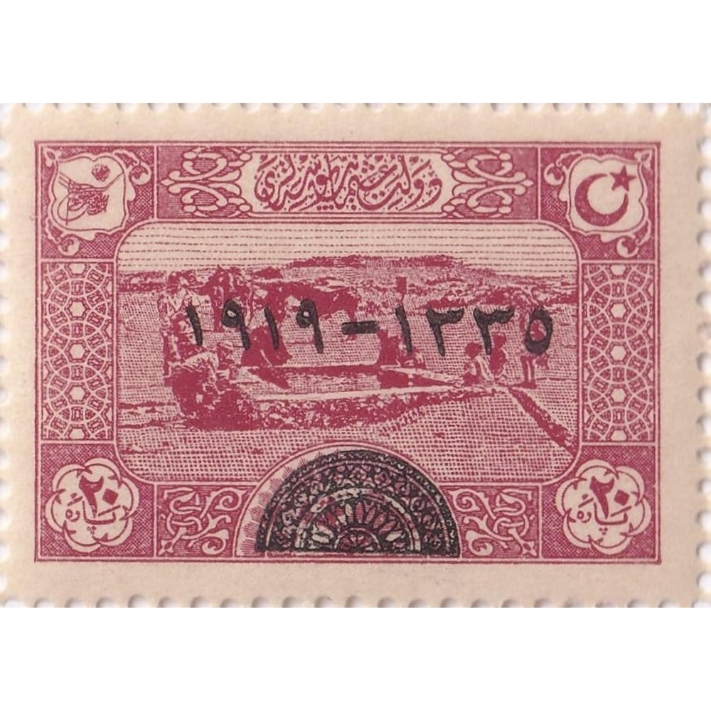 Sultan Vahdettinin Cülus Yıldönümü Hatıra Pulu - 1920 - 20 Para - 25li Tabaka