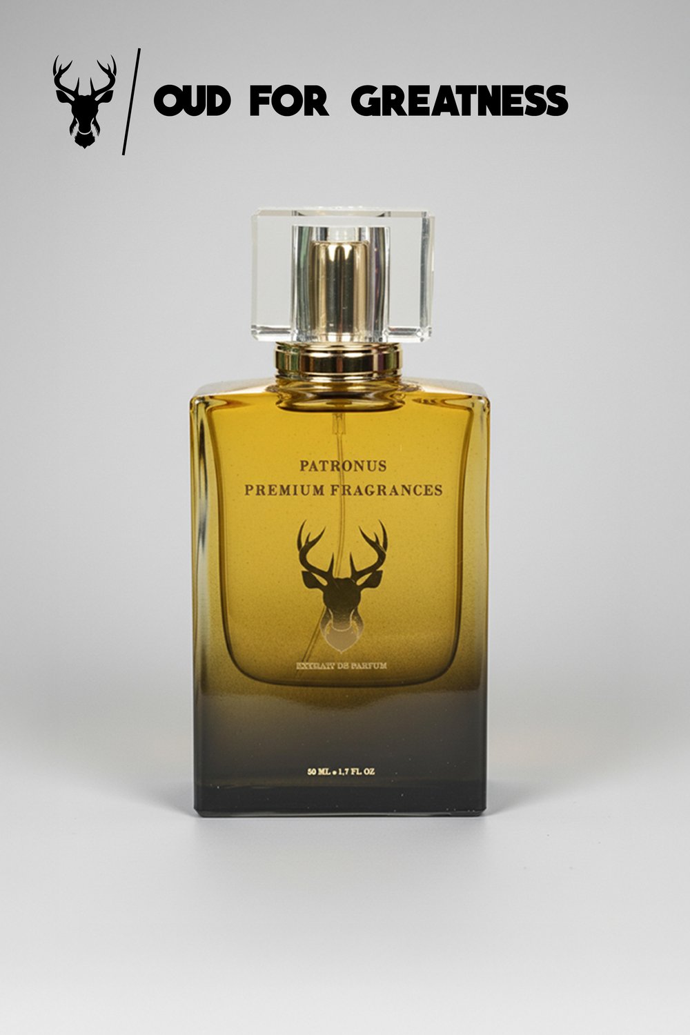 P119 - Initio Oud For Greatness Parfüm ( MUADİLİ )