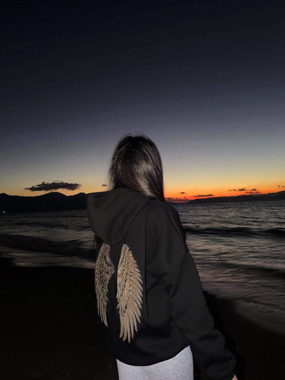 Gold Pullu Kanat Sweatshirt