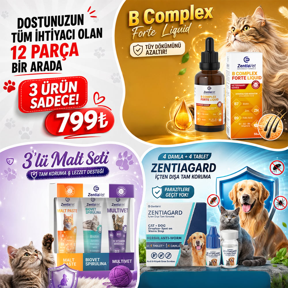 Malt Seti (Maltpaste 100 gr – Multivet 100 gr – Biovet 100 gr) Kedi Ense Damlası 4 Tablet 4 Damla Kedi Tüy Döküm Önleyici 50 ml