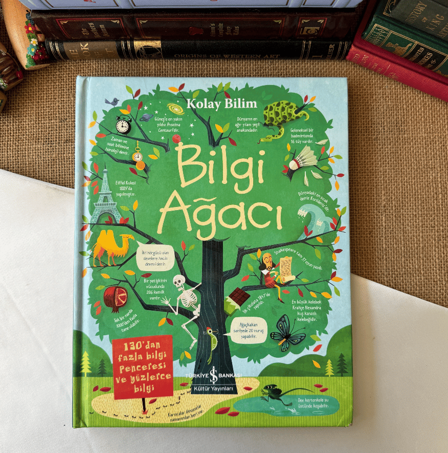 Bilgi Ağacı