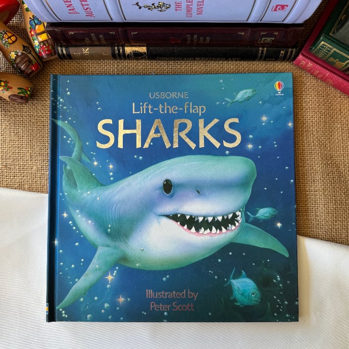 Lift The Flap Sharks