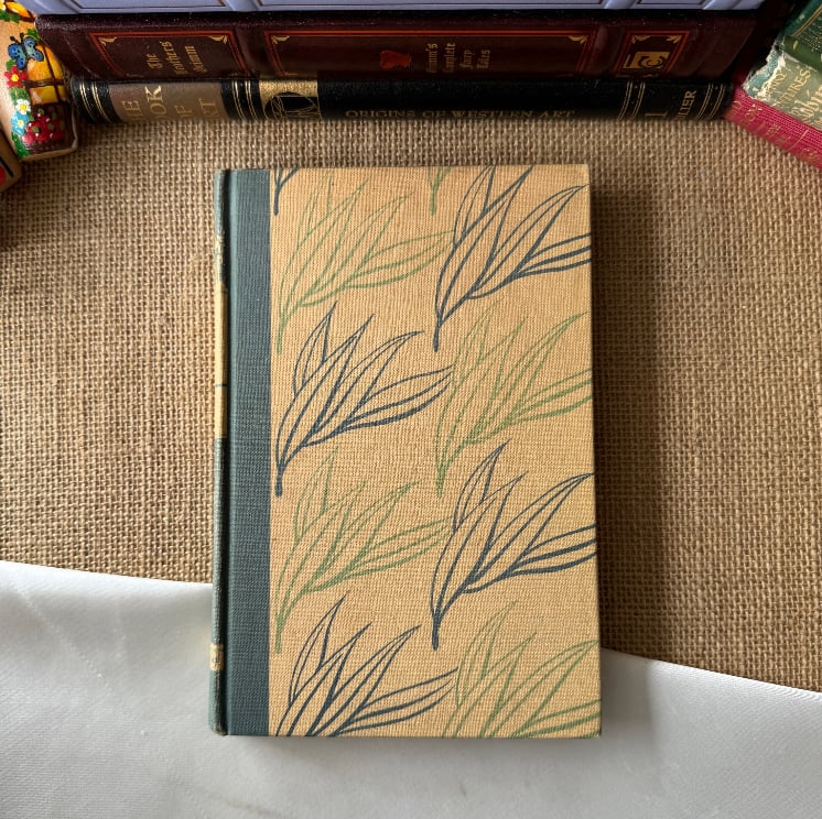 The Jungle Book - Rudyard Kipling