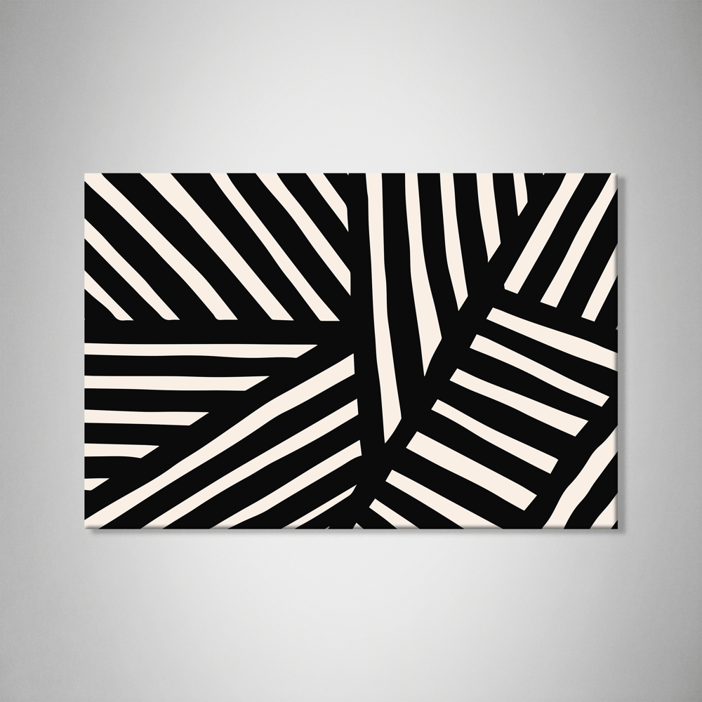 ZEBRA – Çizgilerin Uyumunda