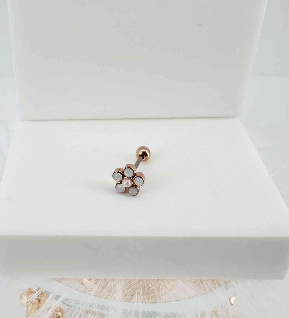 Tragus Kıkırdak Küpesi