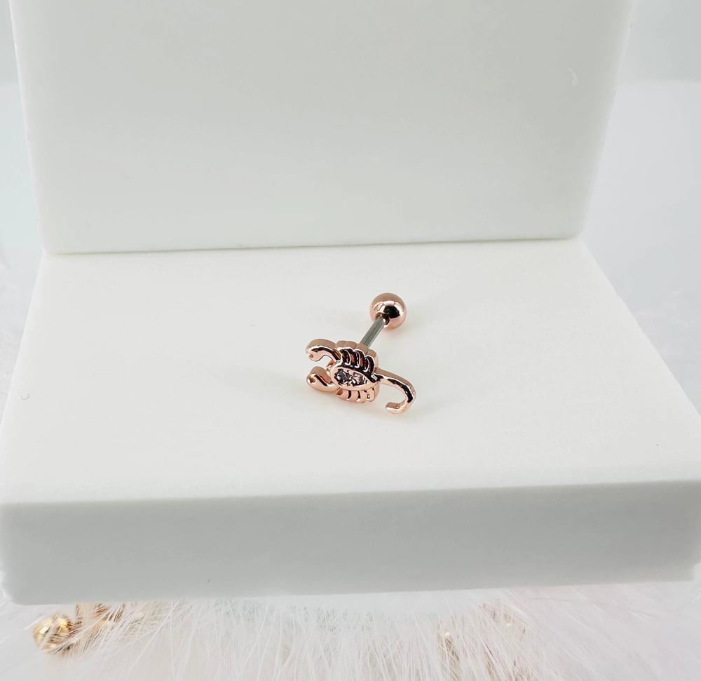Tragus Kıkırdak Küpesi