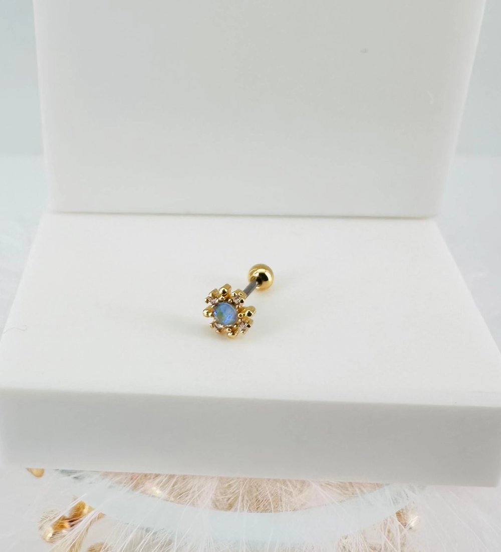 Tragus Kıkırdak Küpesi