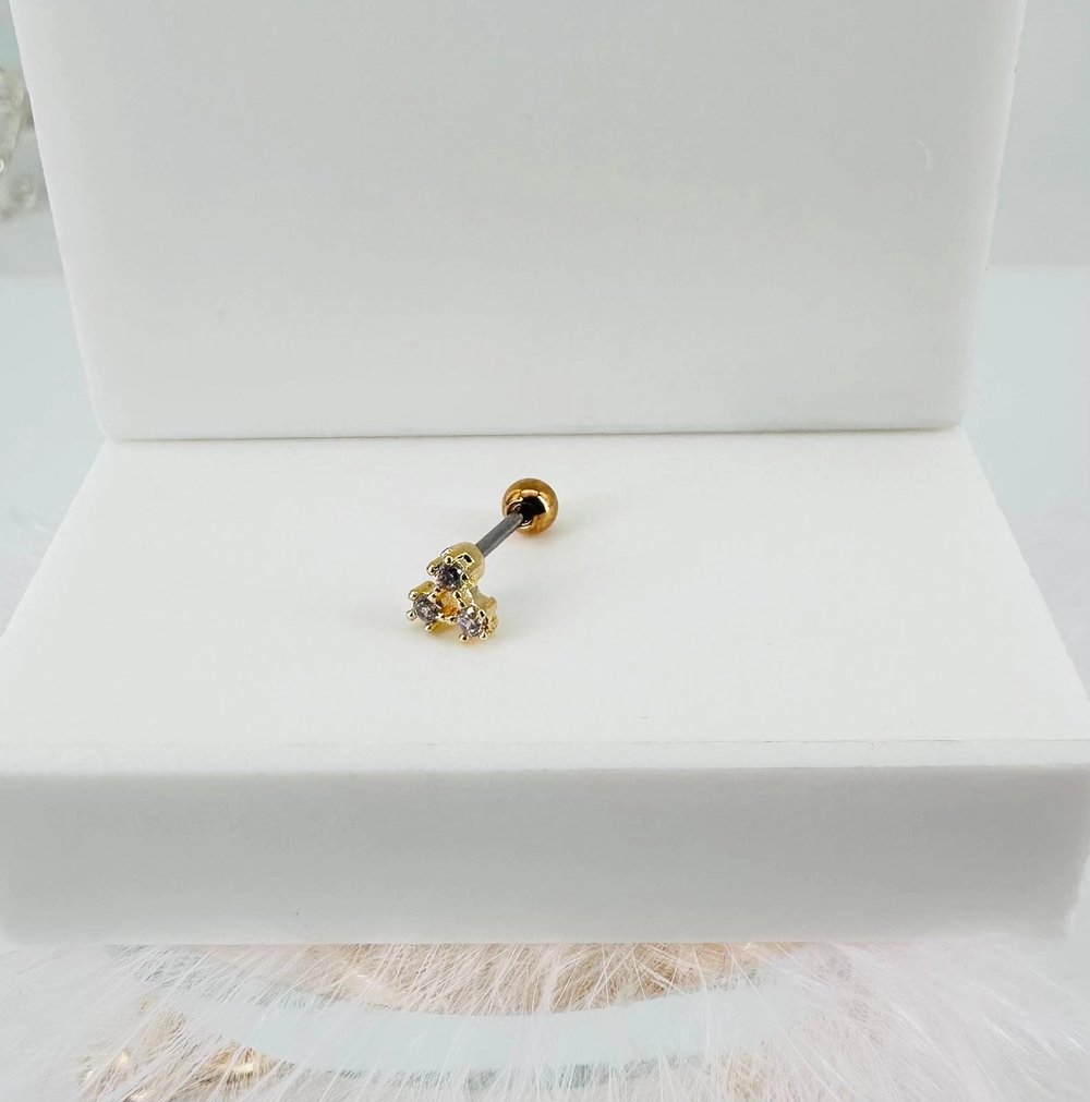 Tragus Kıkırdak Küpesi