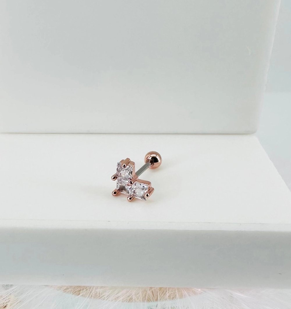 Tragus Kıkırdak Küpesi