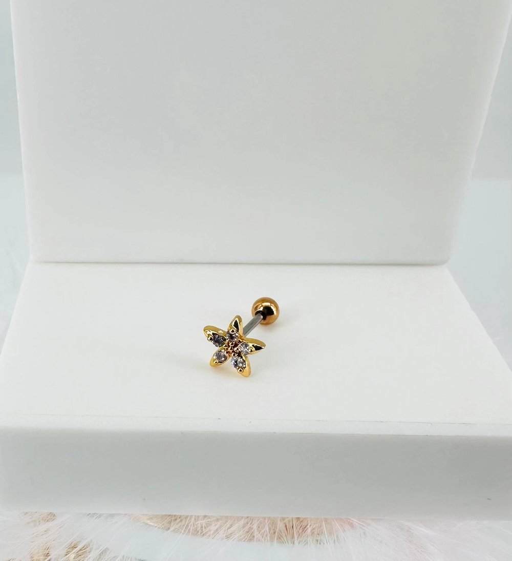 Tragus Kıkırdak Küpesi
